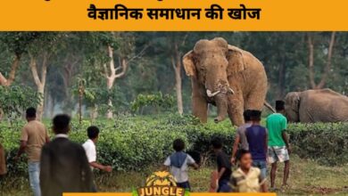 Karnataka CM Calls for Tech-Driven Solutions to Tackle Rising Man-Animal Conflict in Mysuru- JUNGLE TAK