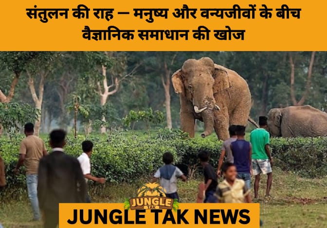 Karnataka CM Calls for Tech-Driven Solutions to Tackle Rising Man-Animal Conflict in Mysuru- JUNGLE TAK