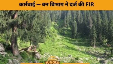 FIR Filed Over Illegal Road Construction in North Kashmir Forest Land- JUNGLE TAK