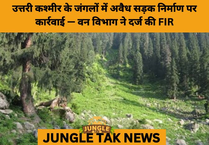 FIR Filed Over Illegal Road Construction in North Kashmir Forest Land- JUNGLE TAK