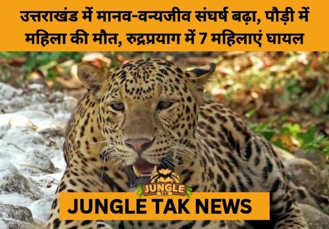 Deadly Leopard and Bear Attacks Alarm Uttarakhand’s Hill Districts- JUNGLE TAK