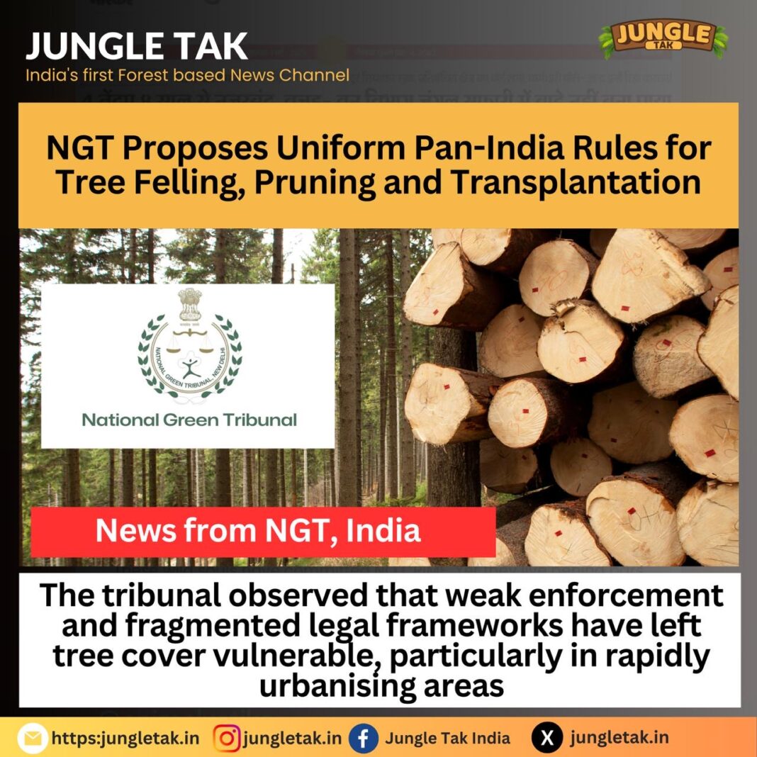 Uniform Pan-India Tree Rules