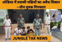 3 Youth Arrested for Illegal Poaching of Wetland Birds in Jajpur- JUNGLE TAK