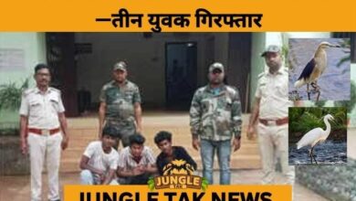 3 Youth Arrested for Illegal Poaching of Wetland Birds in Jajpur- JUNGLE TAK