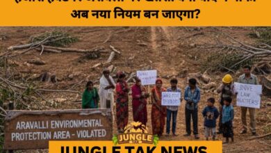 Ex-Post Facto Forest Clearances: Aravallis at the Crossroads of Law and Legitimisation- JUNGLE TAK