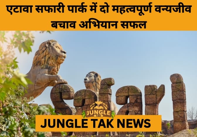 Leopard Cub and Injured Sambar Deer Rescued, Rehabilitated at Etawah Safari Park- JUNGLE TAK