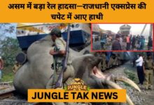 Rajdhani Express Derails After Hitting Elephant Herd in Assam-JUNGLE TAK