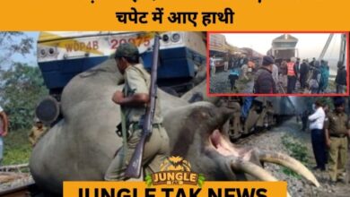 Rajdhani Express Derails After Hitting Elephant Herd in Assam-JUNGLE TAK
