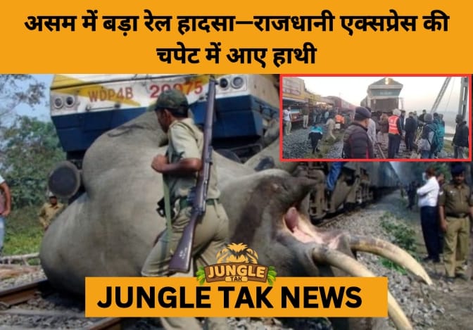 Rajdhani Express Derails After Hitting Elephant Herd in Assam-JUNGLE TAK