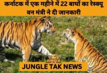 Karnataka Records Highest-Ever Tiger Rescues Amid Rising Human–Wildlife Conflict- JUNGLE TAK