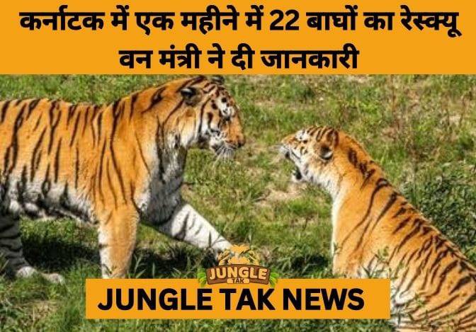 Karnataka Records Highest-Ever Tiger Rescues Amid Rising Human–Wildlife Conflict- JUNGLE TAK