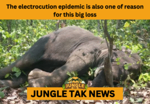 ODISHA ELEPHANT DEATHS