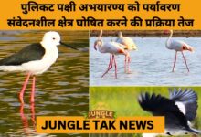 Eco-Sensitive Zone Proposal for Pulicat Bird Sanctuary Moves Forward- JUNGLE TAK
