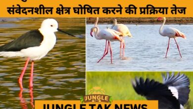 Eco-Sensitive Zone Proposal for Pulicat Bird Sanctuary Moves Forward- JUNGLE TAK