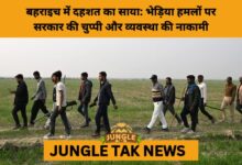 Fear After Sunset: Wolf Attacks Terrorise Bahraich Villages- JUNGLE TAK