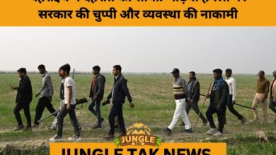 Fear After Sunset: Wolf Attacks Terrorise Bahraich Villages- JUNGLE TAK