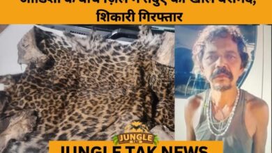 Leopard Skin Seized, Suspected Poacher Arrested in Odisha’s Boudh District- JUNGLE TAK