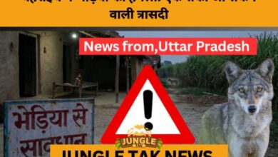 Bahraich Wolf Attacks: A Crisis of Repeated Warnings and Systemic Failure- JUNGLE TAK