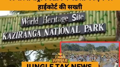 Guwahati High Court Orders Crackdown on Illegal Fishing in Kaziranga National Park- JUNGLE TAK