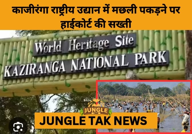 Guwahati High Court Orders Crackdown on Illegal Fishing in Kaziranga National Park- JUNGLE TAK