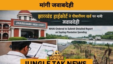 Jharkhand High Court Seeks Detailed Audit of Highway Plantation Funds- JUNGLE TAK