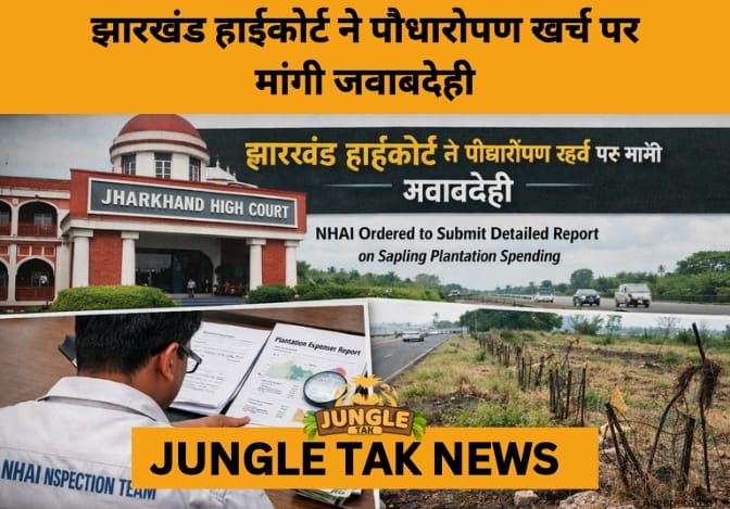 Jharkhand High Court Seeks Detailed Audit of Highway Plantation Funds- JUNGLE TAK