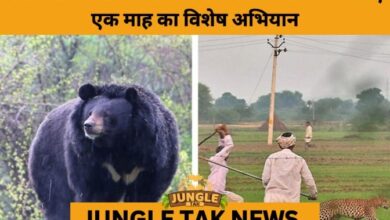 Uttarakhand Launches State-Wide Special Operation to Curb Leopard and Bear Attacks- JUNGLE TAK