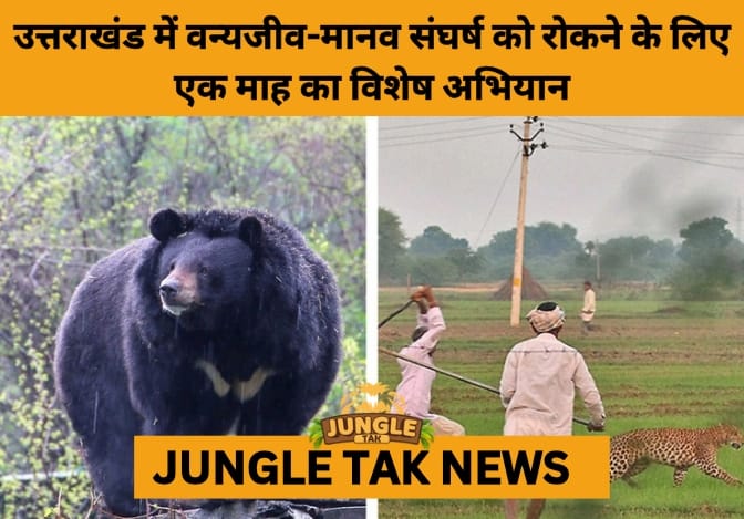 Uttarakhand Launches State-Wide Special Operation to Curb Leopard and Bear Attacks- JUNGLE TAK