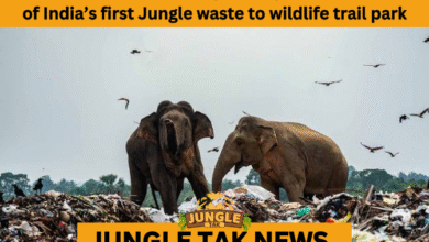 WASTE TO WILDLIFE