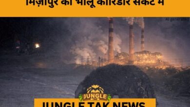 Mirzapur at the Crossroads: Power Plant vs Forest Life- JUNGLE TAK