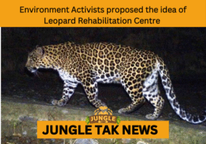 LEOPARD REHABILITATION CENTER