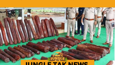 red sanders smuggling arrests