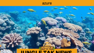 coral reef protection