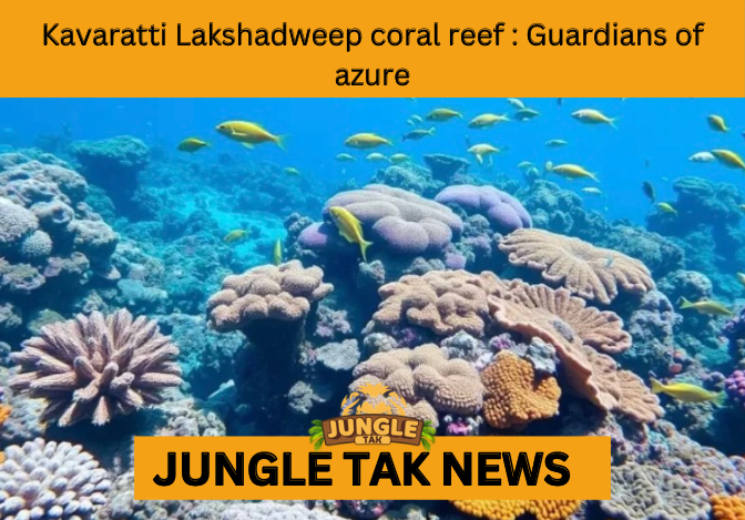 coral reef protection