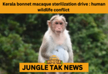 Kerala bonnet macaque sterilization program