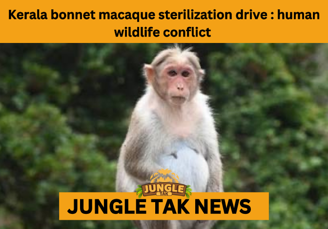 Kerala bonnet macaque sterilization program