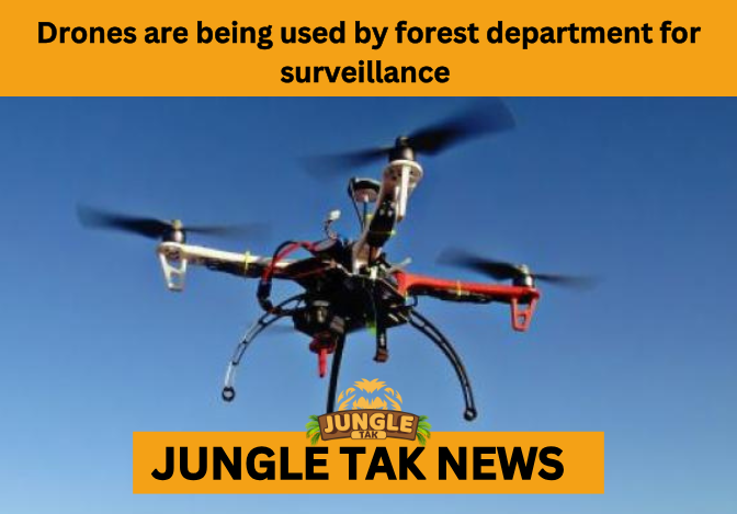 forest drone surveillance