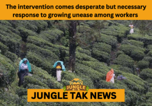 human wildlife conflict