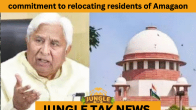 human animal conflict