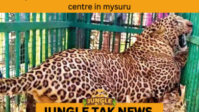 LEOPARD REHABILITATION CENTER