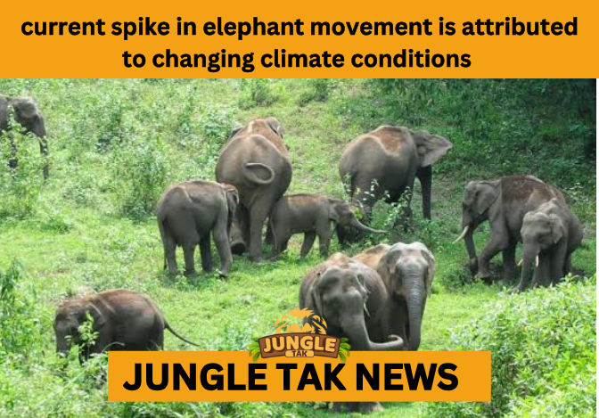 BORDER ELEPHANT MOVEMENT