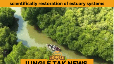 PUDUCHERRY MANGROVE REVIVAL MISSION