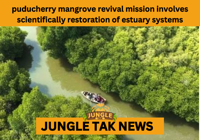 PUDUCHERRY MANGROVE REVIVAL MISSION