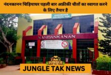 Nandankanan Zoo Set to Welcome African Cheetahs for the 1st Time- JUNGLE TAK