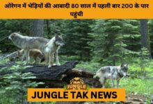 Oregon’s Wolf Population Tops 200 for the First Time in 80 Years- JUNGLE TAK