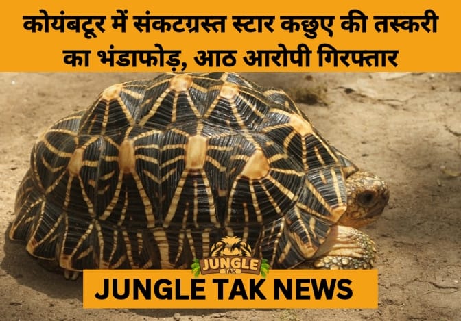 8 Arrested in Coimbatore for Trafficking Protected Indian Star Tortoise- JUNGLE TAK