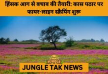 Fire-Line Scrapping Begins at Kas Plateau to Prevent Winter Wildfires- JUNGLE TAK