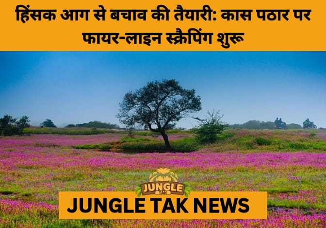 Fire-Line Scrapping Begins at Kas Plateau to Prevent Winter Wildfires- JUNGLE TAK