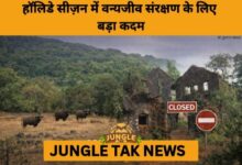 Wildlife Sanctuaries in Kolhapur, Sangli, and Satara to Close During Year-End Rush- JUNGLE TAK