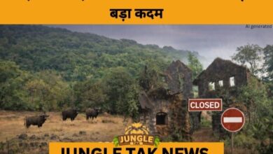 Wildlife Sanctuaries in Kolhapur, Sangli, and Satara to Close During Year-End Rush- JUNGLE TAK